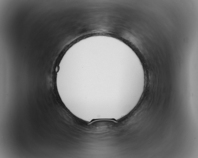 X0000089341308200707131504