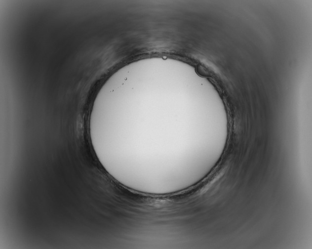 X0000089341309200707131504
