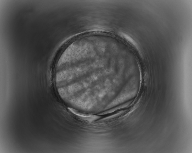 X0000089341310200707131504