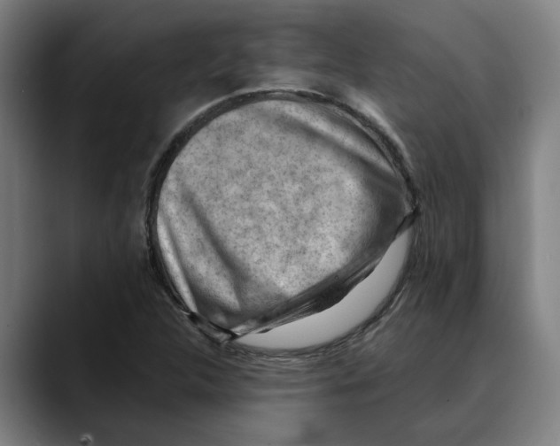 X0000089341312200707131504