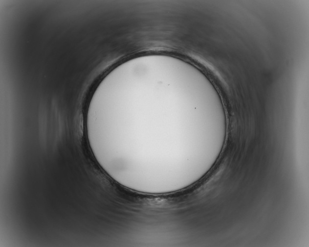 X0000089341317200707131504