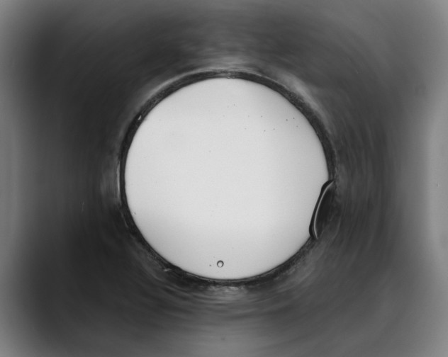 X0000089341320200707131504