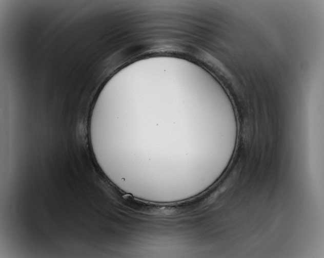 X0000089341321200707131504