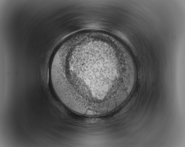 X0000089341323200707131504