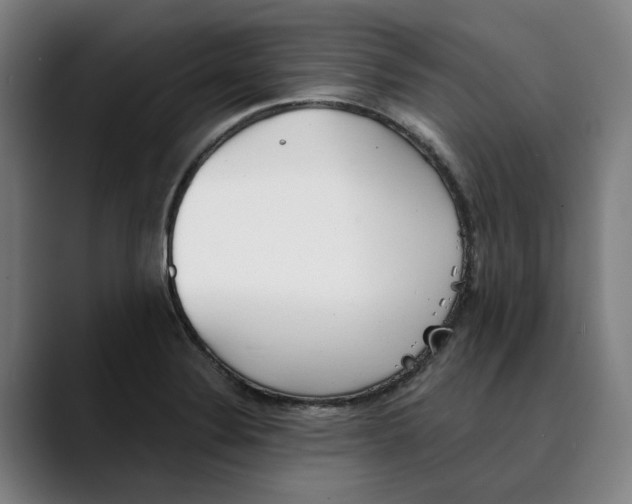 X0000089341324200707131504