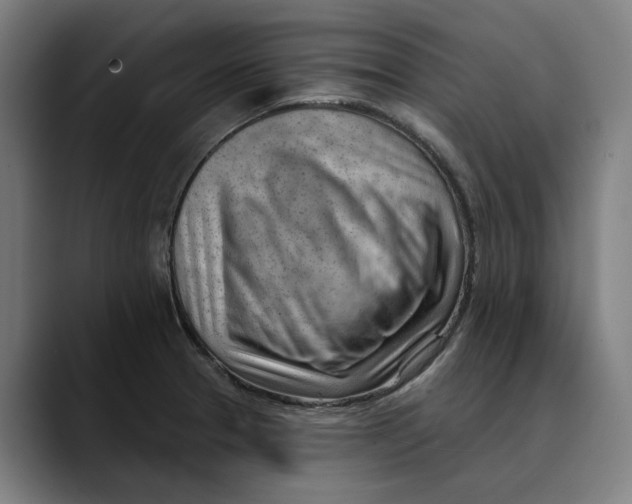 X0000089341329200707131504