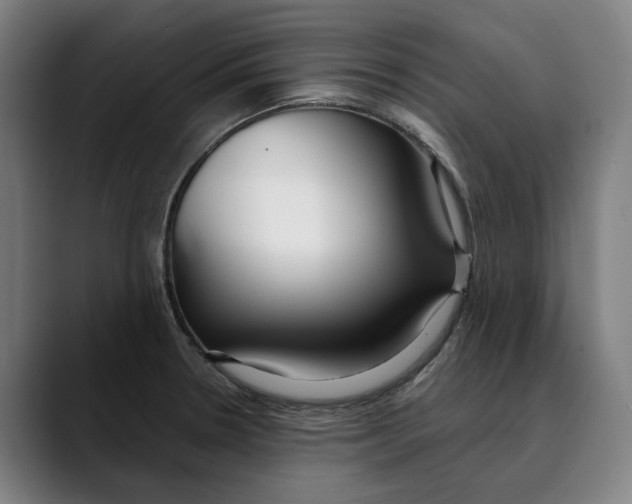 X0000089341330200707131504