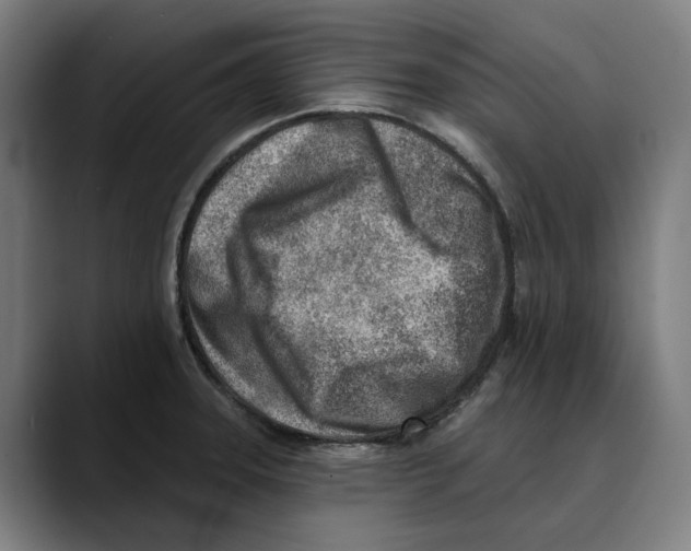 X0000089341331200707131504
