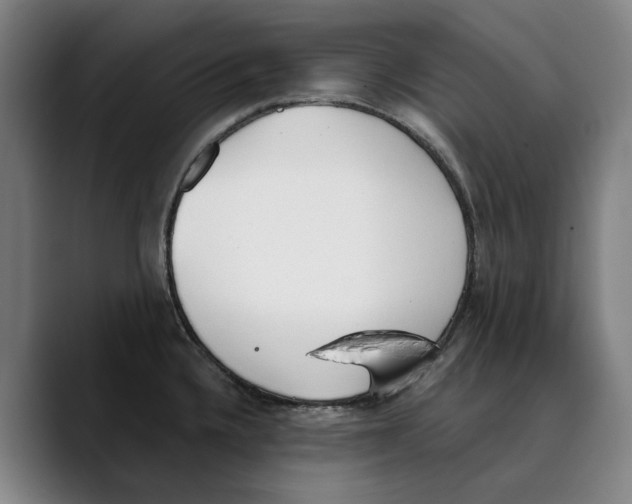 X0000089341336200707131505