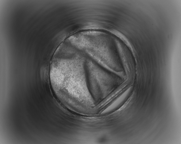 X0000089341337200707131505