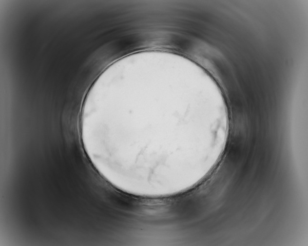 X0000089341338200707131505