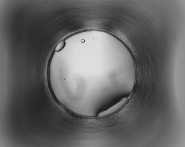 X0000089341339200707131505