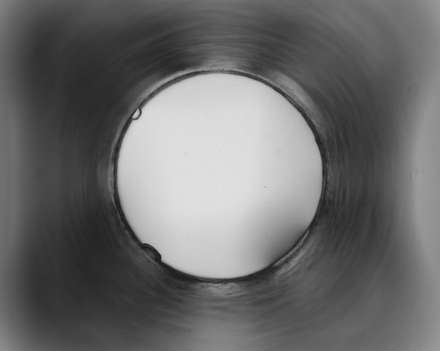 X0000089341340200707131505