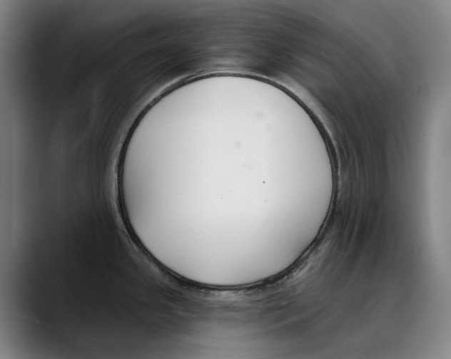 X0000089341341200707131505