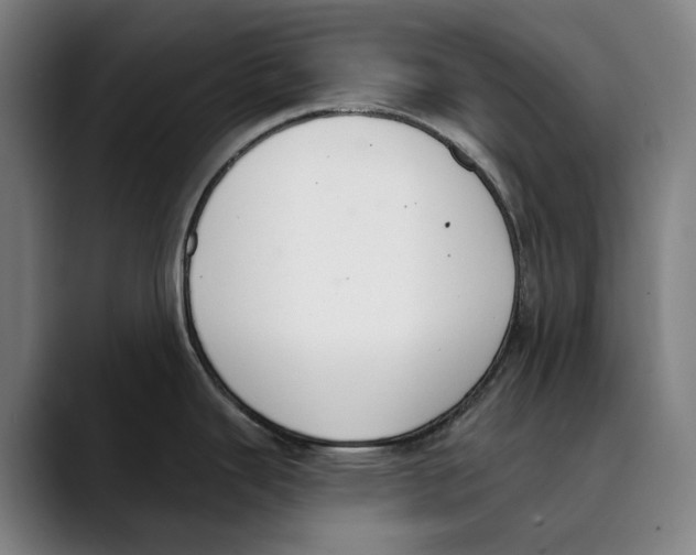 X0000089341343200707131505