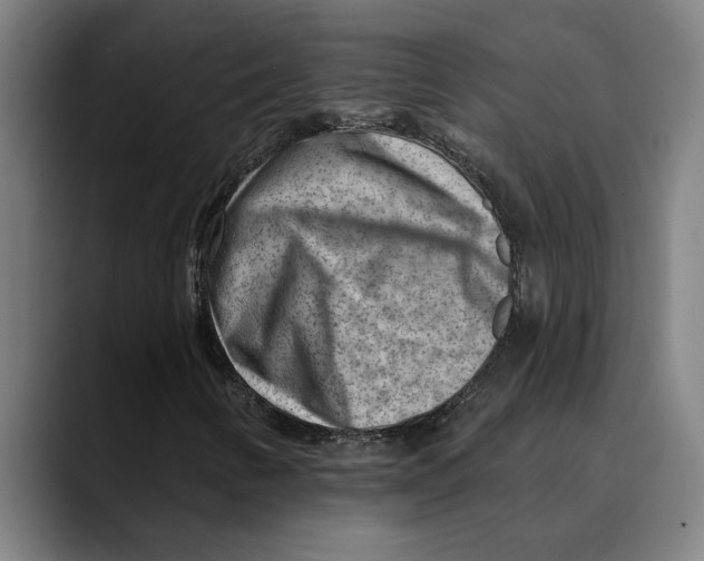X0000089341346200707131504