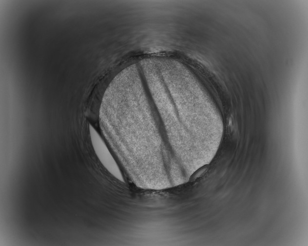 X0000089341348200707131504