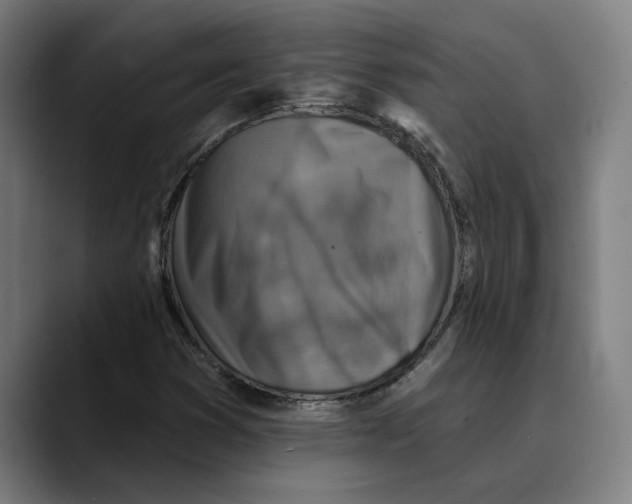 X0000089341353200707131504
