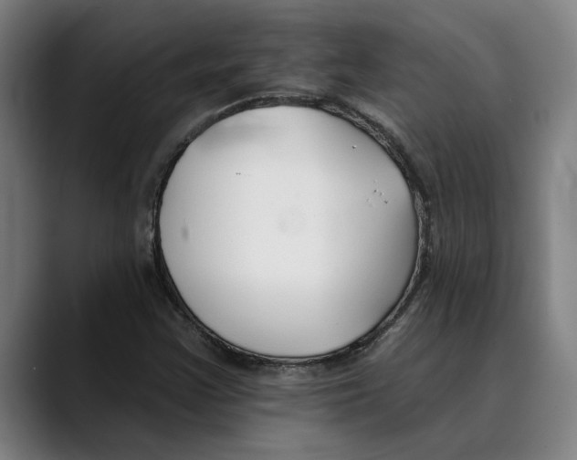 X0000089341355200707131504