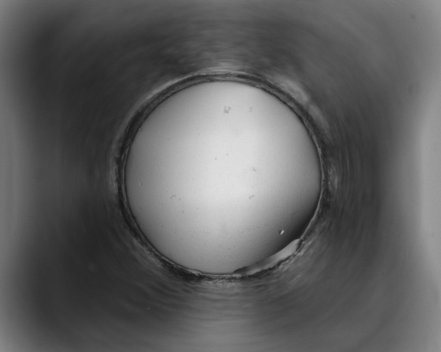 X0000089341356200707131504