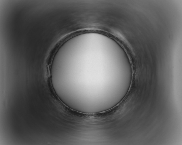 X0000089341360200707131504
