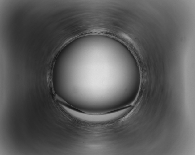 X0000089341361200707131504