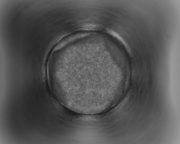 X0000089341362200707131504