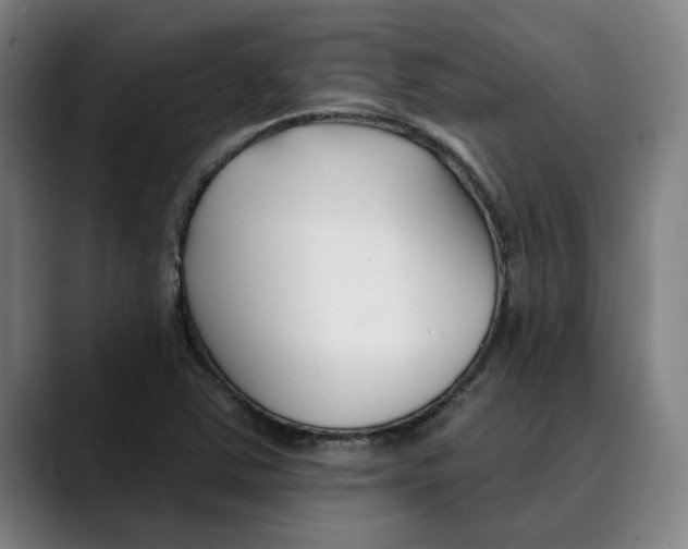 X0000089341363200707131504