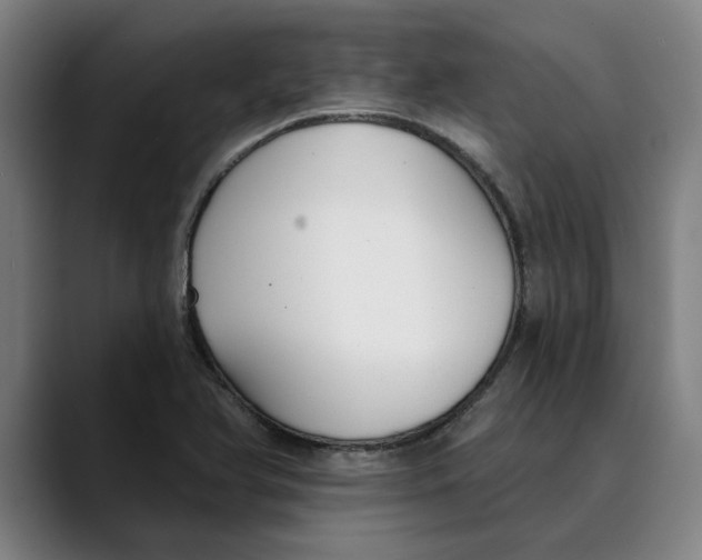 X0000089341366200707131504