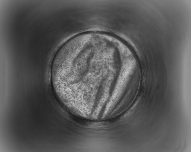 X0000089341367200707131504