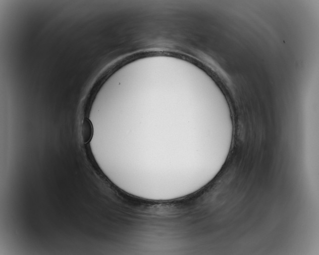 X0000089341368200707131504