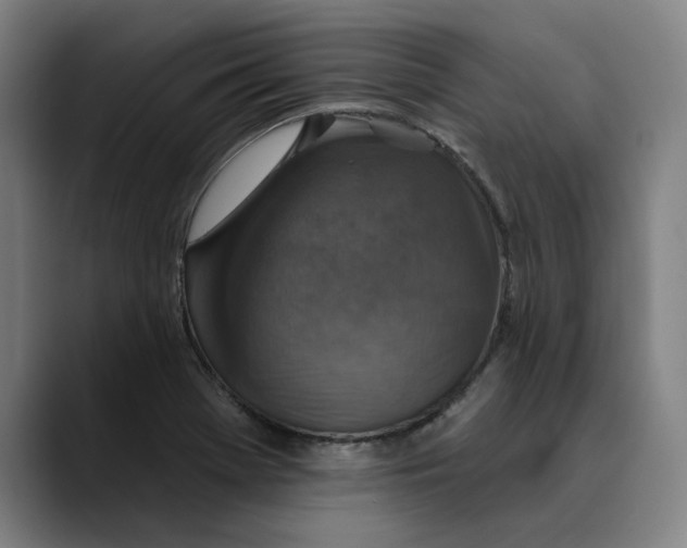 X0000089341369200707131504