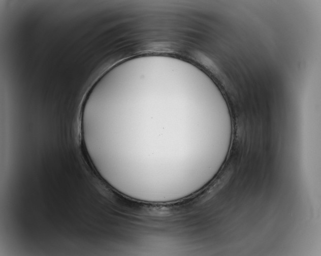 X0000089341370200707131504