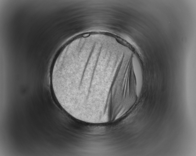 X0000089341372200707131504