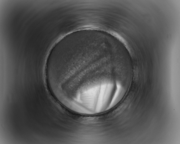 X0000089341373200707131504