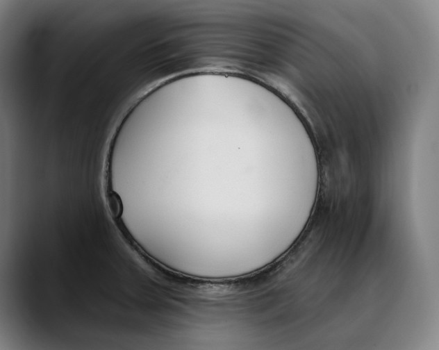 X0000089341379200707131504