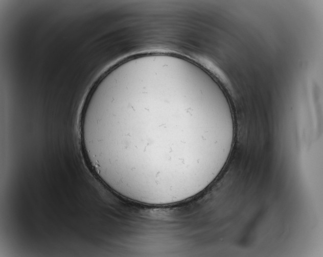 X0000089341380200707131504