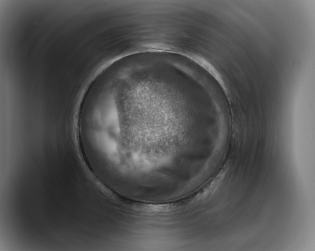 X0000089341381200707131504