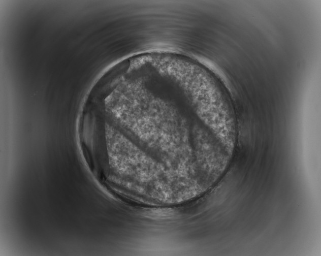X0000089341383200707131504