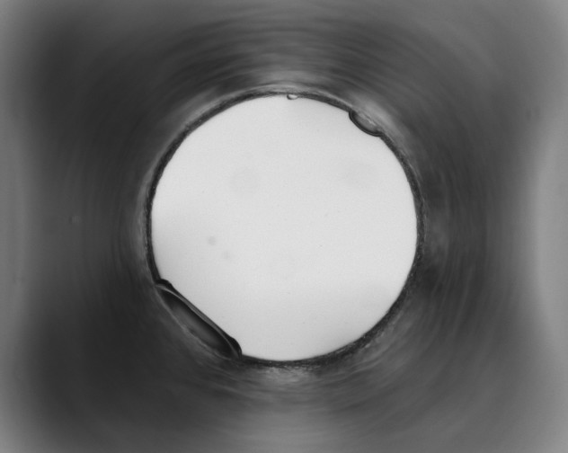 X0000089341384200707131504