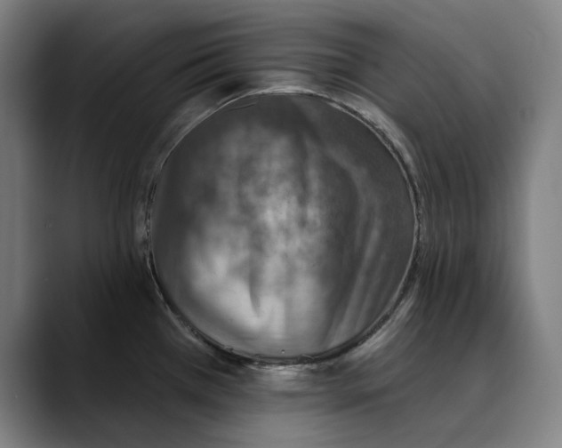 X0000089341385200707131504