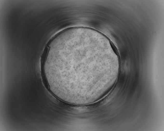 X0000089341388200707131504