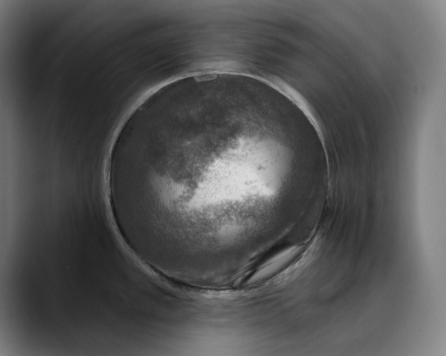 X0000089341389200707131504