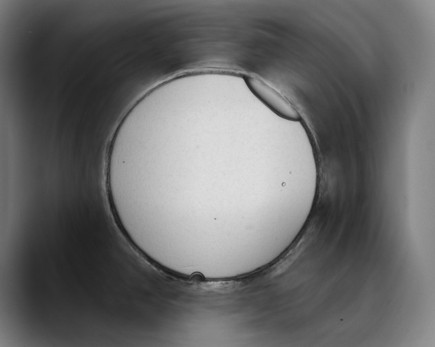 X0000089341390200707131504