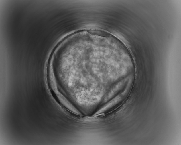 X0000089341392200707131504