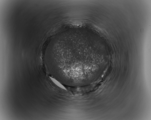 X0000089341394200707131503
