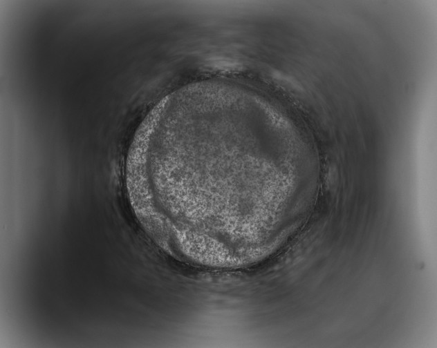 X0000089341397200707131503