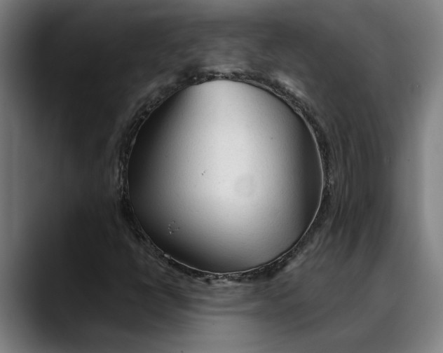 X0000089341398200707131503