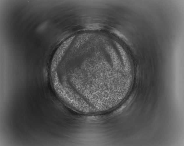 X0000089341401200707131503