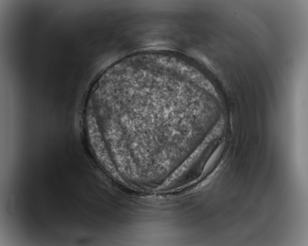 X0000089341405200707131503